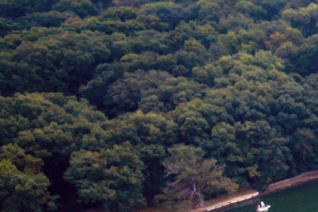 Lake Wildwood property image 1