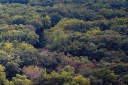 Lake Wildwood property image 6